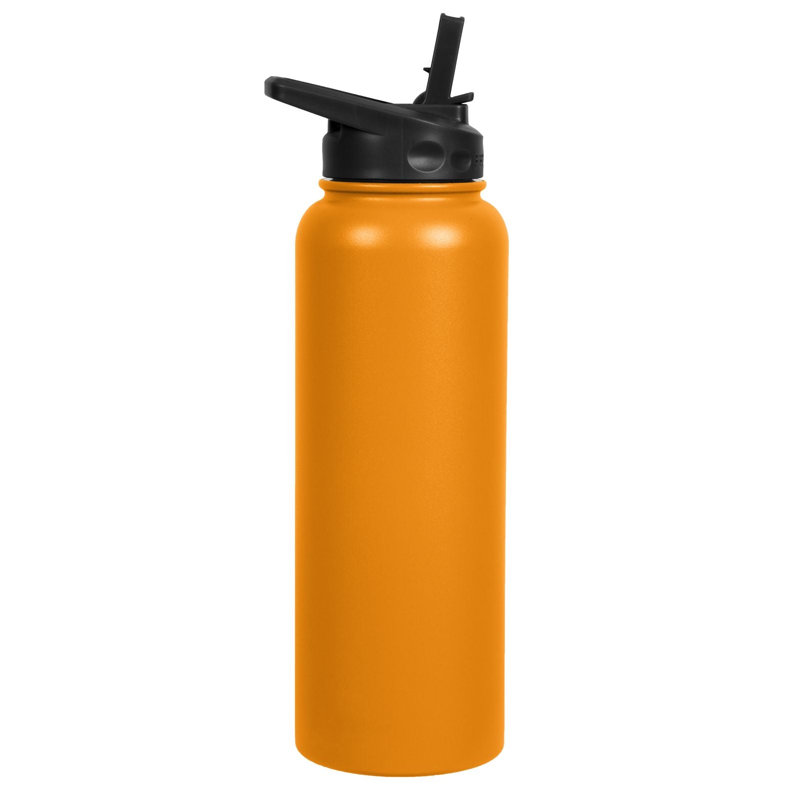 Thermos Vacuum Insulated Bottle with Straw